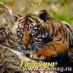 УчМаг