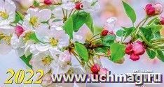 УчМаг