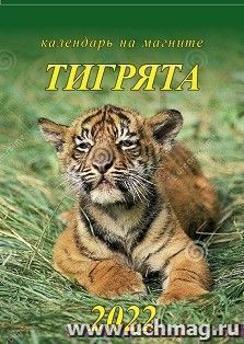УчМаг