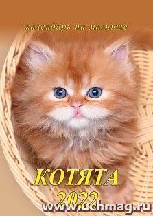 УчМаг