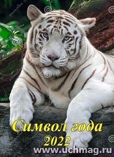 УчМаг