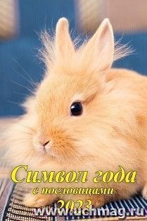 Календарь настенный на спирали с ригелем "Символ года с пословицами"  2023 — интернет-магазин УчМаг