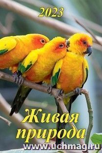 УчМаг