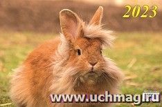 УчМаг