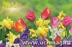 УчМаг