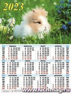 УчМаг