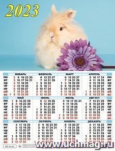 УчМаг