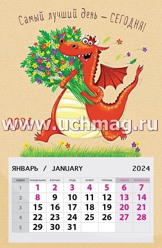 Календарь на магните Самый лучший день 2024 – купить по цене: 48 руб. в  интернет-магазине УчМаг