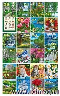 Календарь отрывной "Ассорти" 2024 — интернет-магазин УчМаг