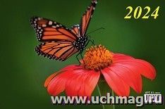 Календарь квартальный на трех спиралях с курсором "Бабочка" 2024 — интернет-магазин УчМаг