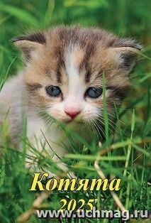 УчМаг