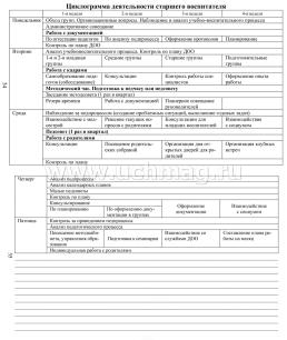 Ежедневник старшего воспитателя ДОО — интернет-магазин УчМаг