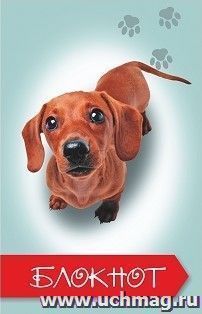 Блокнот (с изображением собаки) — интернет-магазин УчМаг