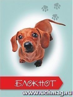 Блокнот (с изображением собаки): (блок - клетка) — интернет-магазин УчМаг