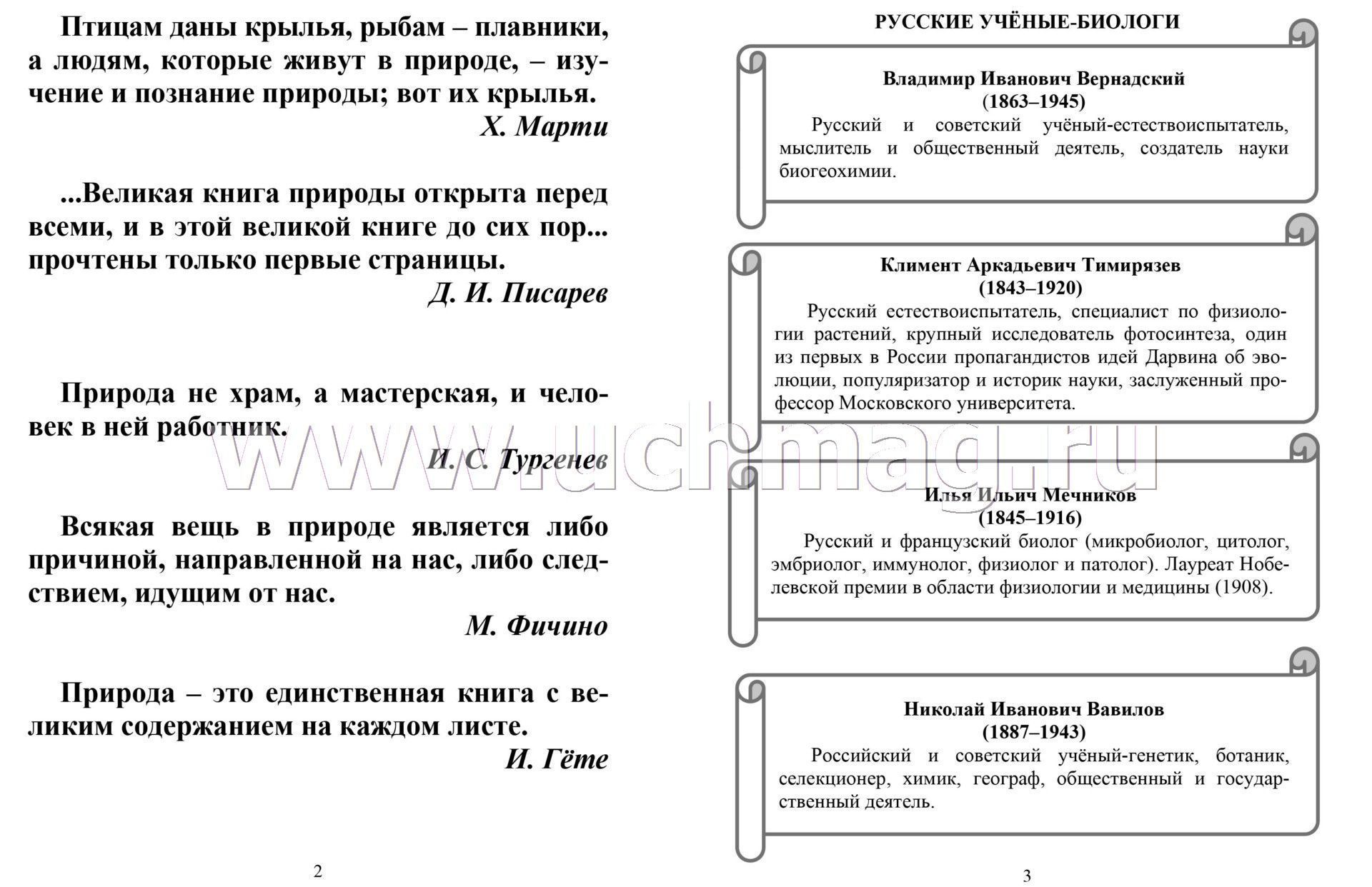 Русский Химик Магазин