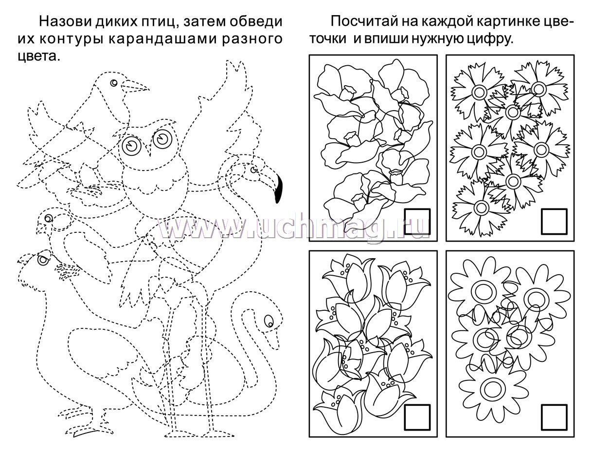 Зашумленные картинки насекомые для детей 6 7 лет