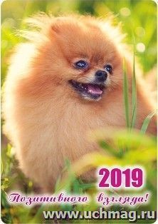 Карманный календарь с подставкой "Позитивного взгляда!" 2019г. — интернет-магазин УчМаг