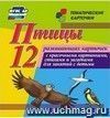 Птицы: 12 развивающих карточек с красочными картинками, стихами и загадками для занятий с детьми