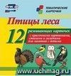 Птицы леса: 12 развивающих карточек с красочными картинками, стихами и загадками для занятий с детьми