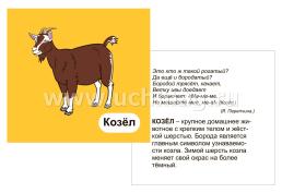 Домашние животные: 12 развивающих карточек с красочными картинками, стихами и загадками для занятий с детьми — интернет-магазин УчМаг