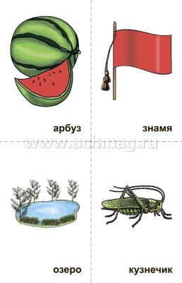 10 игр со звуками З, Зь для познавательного, речевого и интеллектуального развития детей 4-10 лет: комплект из 36 предметных карточек и 20 жетонов в коробочке — интернет-магазин УчМаг