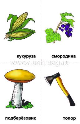 10 игр со звуками Р, Рь для познавательного, речевого и интеллектуального развития детей 4-10 лет: комплект из 36 предметных карточек и 20 жетонов в коробочке — интернет-магазин УчМаг