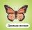 Бабочки: 12 развивающих карточек с красочными картинками, стихами и загадками для занятий с детьми — интернет-магазин УчМаг