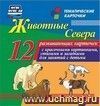 Животные севера: 12 развивающих карточек с красочными картинками, стихами и загадками для занятий с детьми