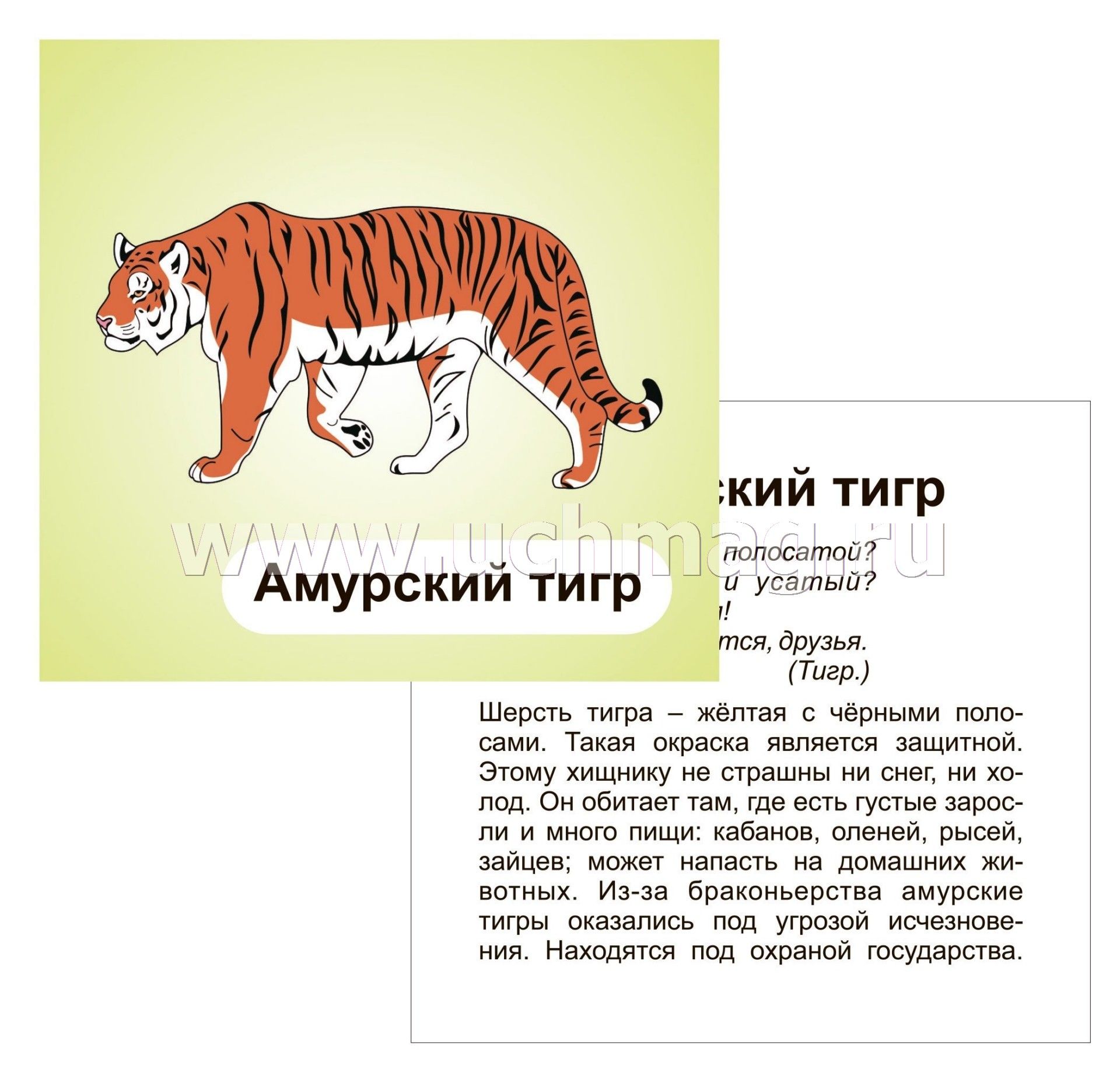 Всероссийский детский конкурс рисунков «По страницам Красной книги»