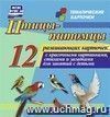 Птицы-питомцы: 12 развивающих карточек с красочными картинками, стихами и загадками для занятий с детьми