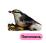 Птицы-питомцы: 12 развивающих карточек с красочными картинками, стихами и загадками для занятий с детьми — интернет-магазин УчМаг