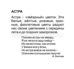 Однолетние садовые цветы: 12 развивающих карточек с красочными картинками, стихами и загадками для занятий с детьми — интернет-магазин УчМаг