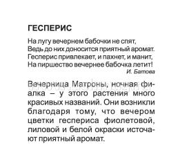 Двулетние садовые цветы: 12 развивающих карточек с красочными картинками, стихами и загадками для занятий с детьми — интернет-магазин УчМаг