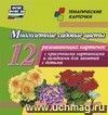 Многолетние садовые цветы: 12 развивающих карточек с красочными картинками, стихами и загадками для занятий с детьми