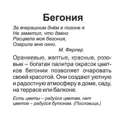 Луковичные и клубневые садовые цветы: 12 развивающих карточек с красочными картинками, стихами и загадками для занятий с детьми — интернет-магазин УчМаг