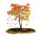 Времена года. Осень: 12 развивающих карточек с красочными картинками, стихами и загадками для занятий с детьми — интернет-магазин УчМаг