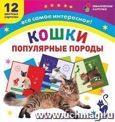 Кошки. Популярные породы: 12 цветных карточек. Всё самое интересное! Набор для занятий с детьми — интернет-магазин УчМаг