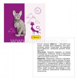 Кошки. Популярные породы: 12 цветных карточек. Всё самое интересное! Набор для занятий с детьми — интернет-магазин УчМаг