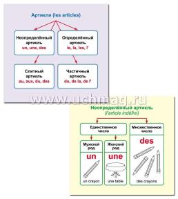 Главные правила. Французский язык. Артикль: 12 обучающих карточек по школьной программе — интернет-магазин УчМаг