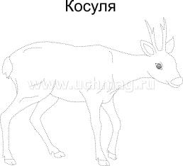 Мир Животных. Я рисую и раскрашиваю — интернет-магазин УчМаг