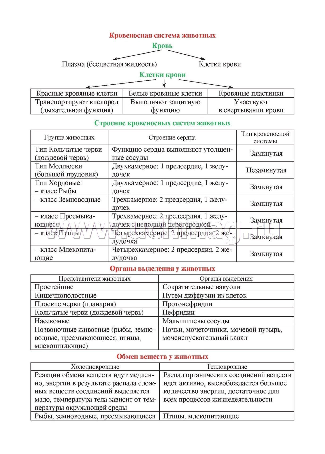 Реферат: Термины по биологии 2