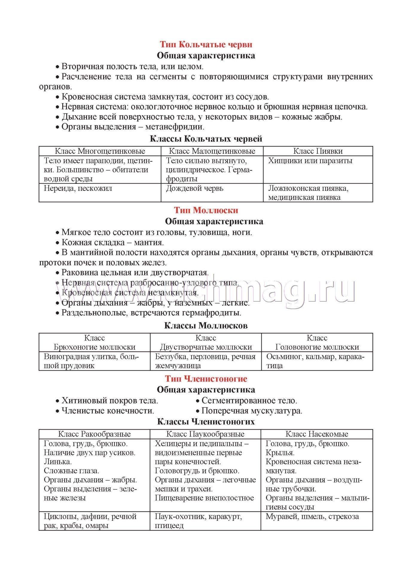 Шпаргалка: Термины по биологии