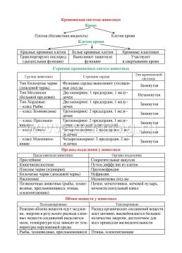 Биология. 5-7 классы. Основные термины, понятия и определения: комплект из 4 карт для подготовки к контрольным работам, экзаменам — интернет-магазин УчМаг