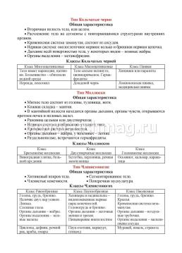 Биология. 5-7 классы. Основные термины, понятия и определения: комплект из 4 карт для подготовки к контрольным работам, экзаменам — интернет-магазин УчМаг