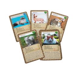Познавательная игра "Кошки": 36 карточек, инструкция — интернет-магазин УчМаг