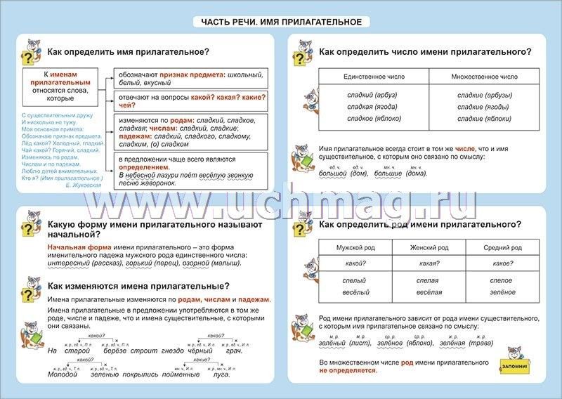 Русский язык. Основные правила и понятия. Начальная школа.
