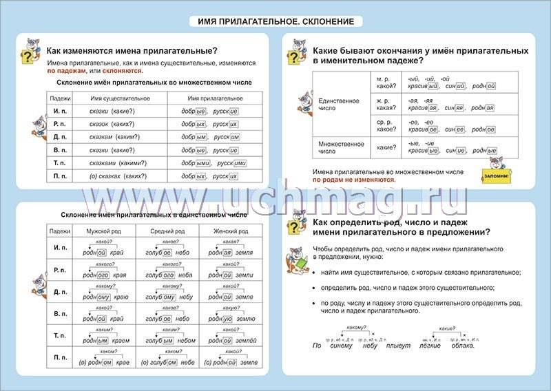 Имя прилагательное таблица схема