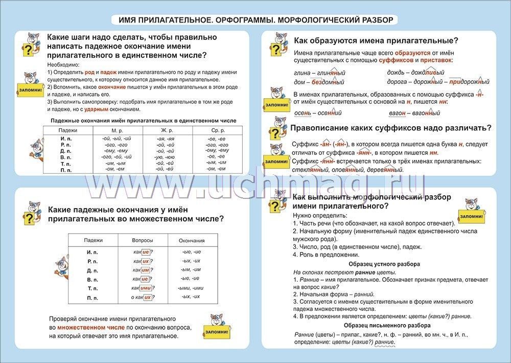 Орфограммы прилагательных. Все орфограммы прилагательных. Орфограммы русского языка прилагательные. Орфограммы имен прилагательных. Какие орфограммы в окончаниях имен прилагательных. Орфограммы прилагательных. Все орфограммы прилагательных. Орфограммы русского языка прилагательные. Орфограммы имен прилагательных.