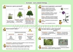 Окружающий мир. Растения - часть живой природы. 1-4 классы: Таблица-плакат 420х297 — интернет-магазин УчМаг