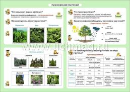 Окружающий мир. Разнообразие растений. 1-4 классы: Таблица-плакат 420х297 — интернет-магазин УчМаг
